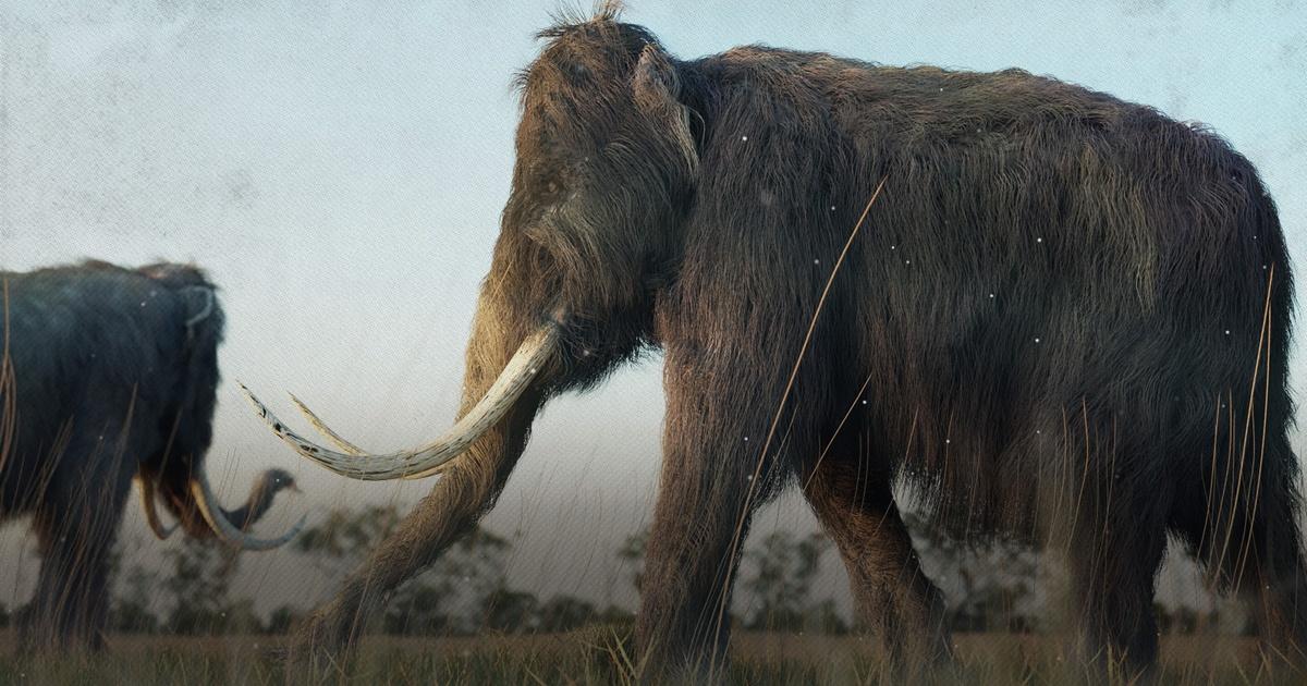 Eons | We Can “Bring Back” The Woolly Mammoth. Should We? | Season 4 ...