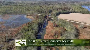 The Wolf River Conservancy at 40: Four Decades of Environmental Leadership in Tennessee and the Mid-South