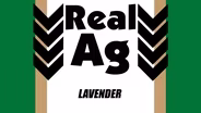 RealAg Lavender (Ep610)