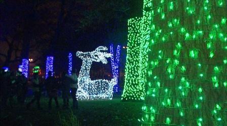 Video thumbnail: Discover the D Wild Lights/Legoland