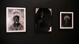 Exhibit chronicles activist's fight for trans visibility