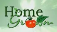 Homegrown:  Partners in the Process
