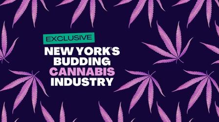 New York's Budding Cannabis Industry