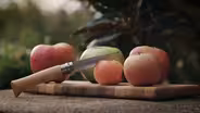 Apples in Virginia
