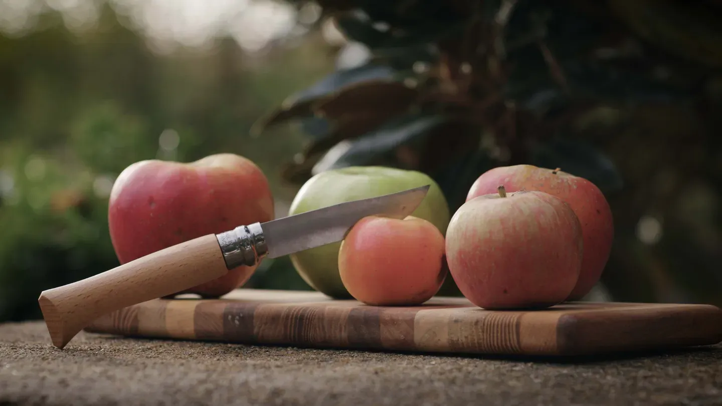 Apples in Virginia