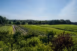 Dame Farm and Orchards/Barden Family Orchard