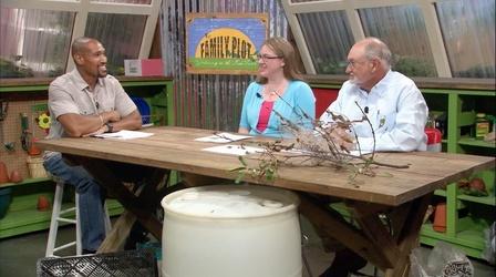 Video thumbnail: The Family Plot Making a Rain Barrel & Tree Bugs