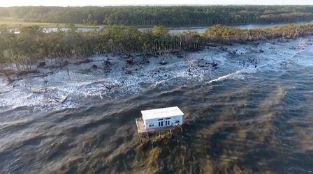Video thumbnail: SCETV Specials Sea Change