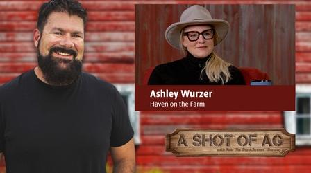 Video thumbnail: A Shot of AG S03 E34: Ashley Wurzer | Haven on the Farm