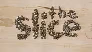 Seed Art Part 2