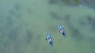 Rachel Carson Reserve Paddle Trail, Beaufort