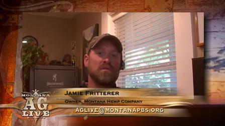 Video thumbnail: Montana Ag Live Hemp, Hemp and More Hemp (No. 5310)