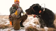 Wings North and Old Dog Hunt
