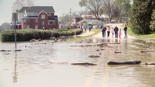 Historic Newburgh Flooding - April 2025
