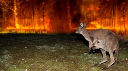 Australian Bushfire Rescue