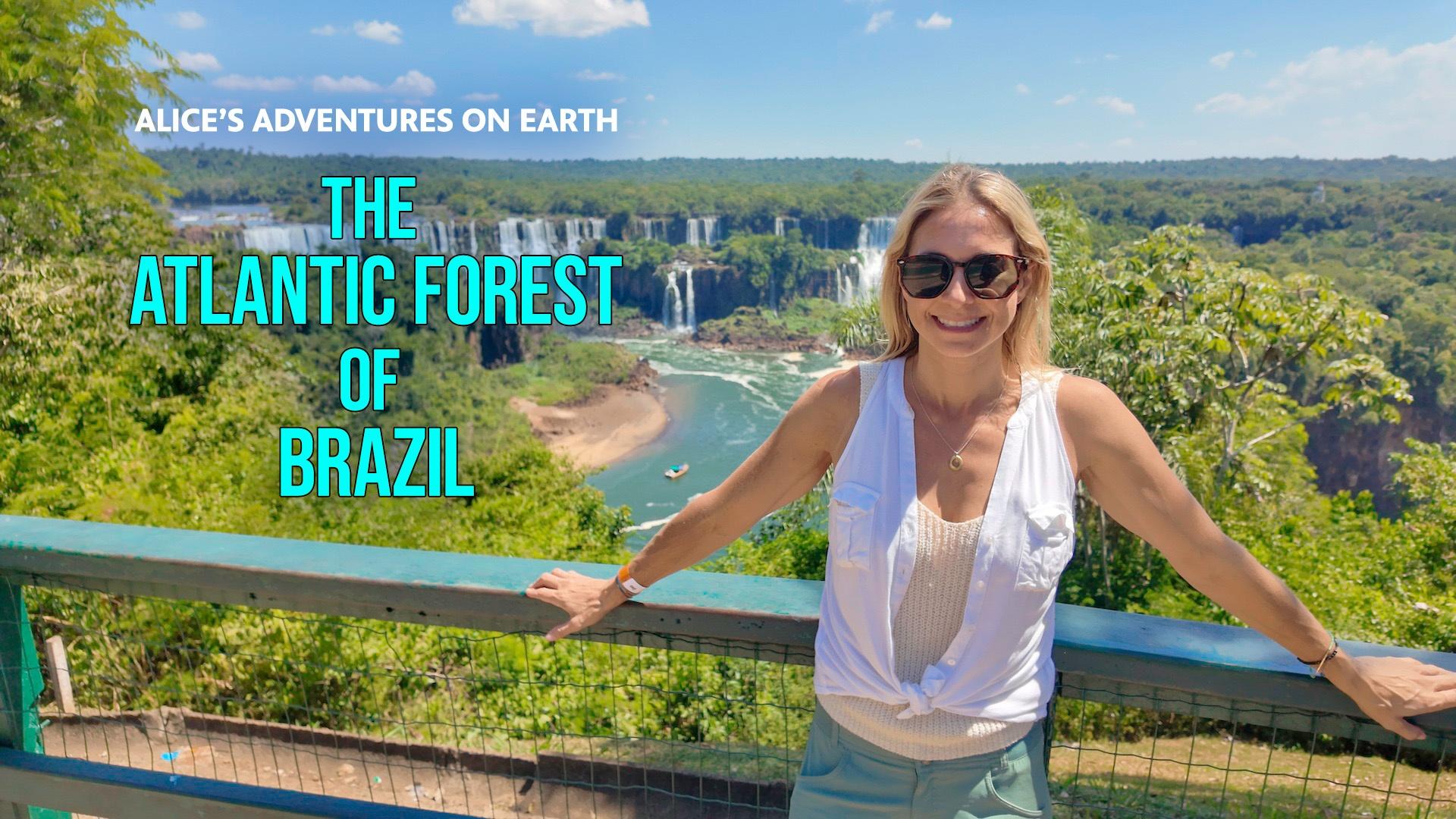 Alice travels to Brazil’s Atlantic Forest beginning near Iguazu Falls and crossing into Paraguay.