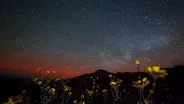 Night Sky Views in Death Valley