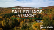 Aerial drone views of 2023 Vermont fall foliage