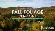 Aerial drone views of 2023 Vermont fall foliage