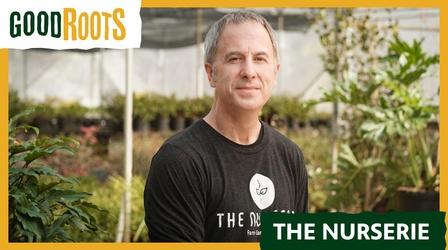 Video thumbnail: Good Roots Hydroponic Farming at The Nurserie