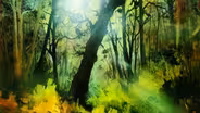 Golden Rays of Sunlight