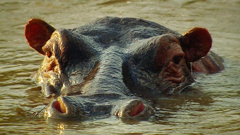 World's Greatest Image