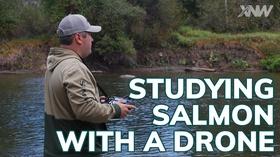 Video thumbnail: xConnect Northwest Studying Salmon Using A Drone