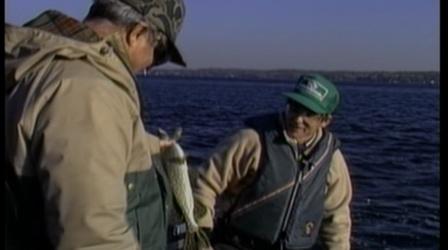 Video thumbnail: Rod & Reel Streamside Late Fall Ambush