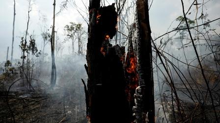 Video thumbnail: PBS NewsHour Deforestation is pushing the Amazon to a 'tipping point'