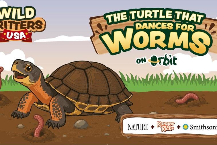 The Turtle that Dances for Worms | Wild Critters USA Poster