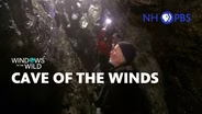Cave Of The Winds