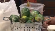 Fall Food