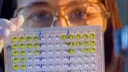 D4K: The Web Show: Viruses