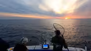 Salmon Fishing, Bow Fishing