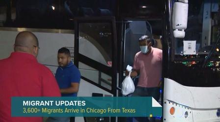 Video thumbnail: Chicago Tonight: Latino Voices While Migrant Arrivals Have Slowed, Help Still Needed