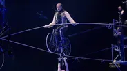 THE BIG APPLE CIRCUS
