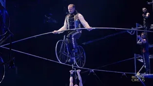 THE BIG APPLE CIRCUS
