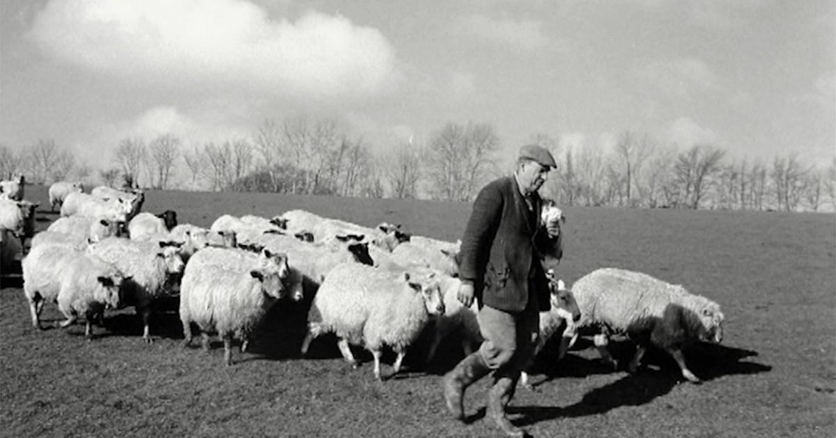 ALL ARTS Documentary Selects | James Ravilious: A World in Photographs | Season 2024