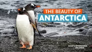 The Beauty of Antarctica