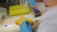 Your DNA Secrets Revealed