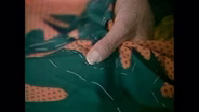 The Cotton Boll Quilt
