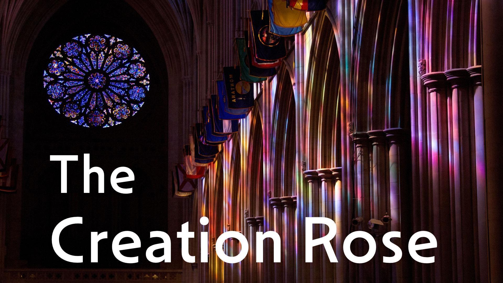 How Rowan LeCompte’s abstract stained-glass transformed the gothic National Cathedral.