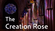 The Creation Rose