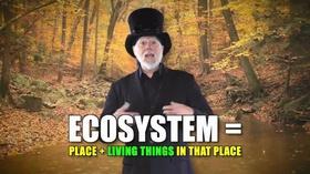 Video thumbnail: Steve Trash Science ECOSYSTEMS GIMME SHELTER/ROCK PAPER SCISSORS