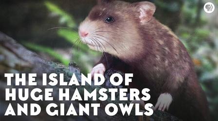 Video thumbnail: Eons The Island of Huge Hamsters and Giant Owls