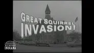 The Great Squirrel Invasion