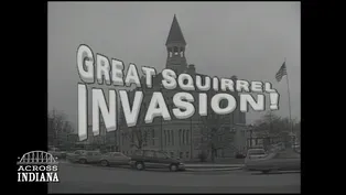 The Great Squirrel Invasion