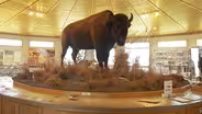 Prairie Heritage Center