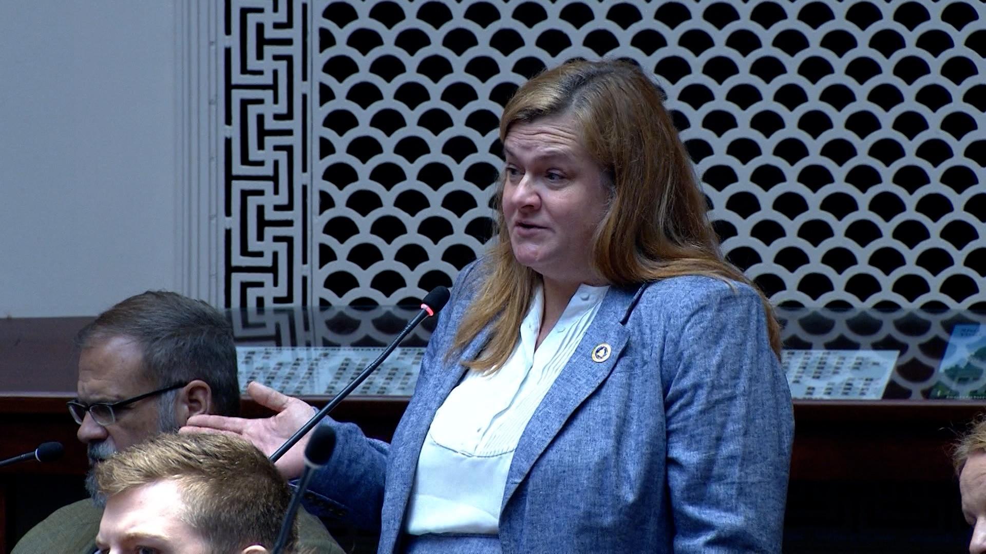 Bill Clarifying Abortion Ban Advances