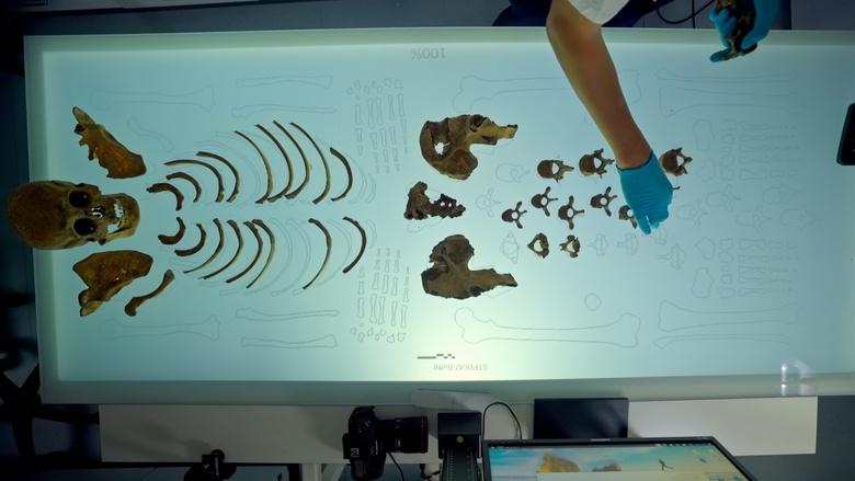 Secrets of the Dead Image